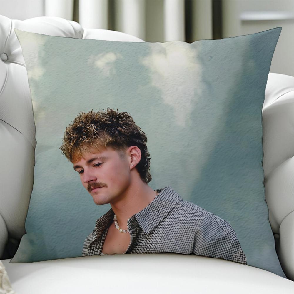 Singer F-Forrest Frank cushion cover Birthday Anniversary Gifts Double Sided Printed Zipper Cushion Cover Soft Skin Bedding
