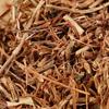Organic Health Tea 500g 100% Natural Lonicera Japonica Herbal Tea