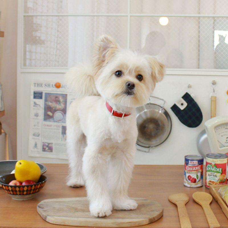 MA MAISON Collier Perle Carrée_Rouge