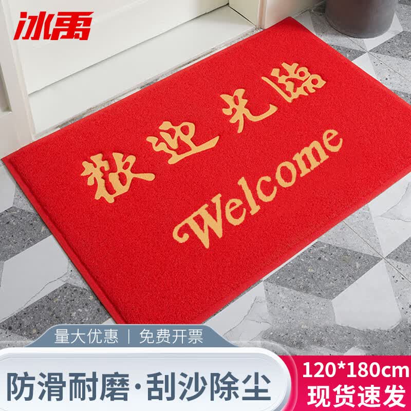 Bingyu Thickened Anti-Slip PVC Silk Loop Entrance Mat