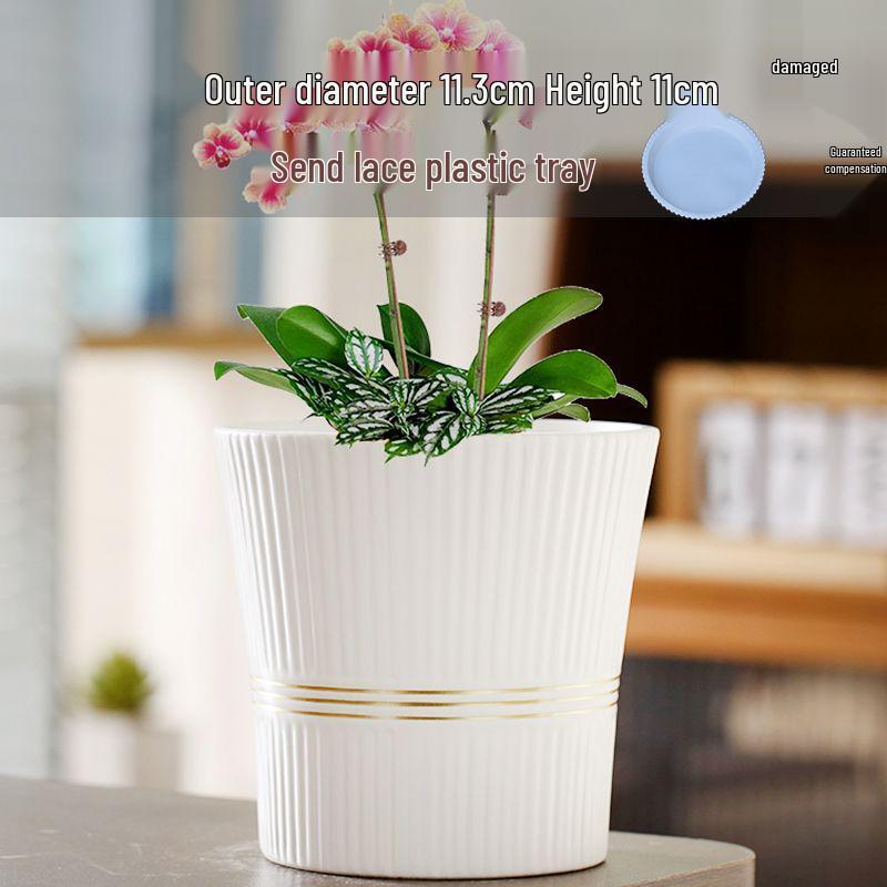 Ceramic Flower Pot with Tray for Orchids and Succulents