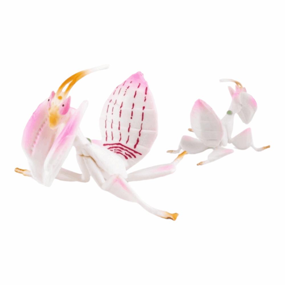 

Набор моделей животных-симуляторов Паук Пчела Детская новинка игрушка Новые фигурки насекомых Ужасные реквизиты Orchid Mantis