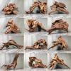 Natural Driftwood Aquascaping Terrarium Reptile Habitat Decorative Climbing Branch Root