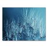 Blue Dandelion Rose Leaf Sea Quote Wall Art Canvas Painting Nordic Posters And Prints Plant Wall Pictures For Living Room Decor