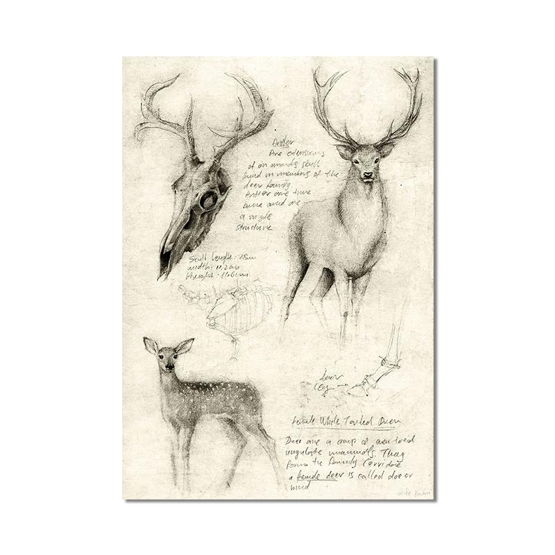 Vintage Fox Butterfly Deer Insect Note Retro Poster Mushrooms Canvas Painting Wall Art Print Wall Pictures for Living Room Decor