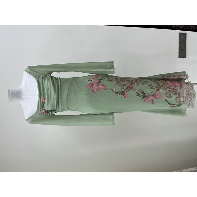 2025 Summer New C * Der Original Order Green Flower-De-Luce Backless Yarn Temperament Waist Hugging Dress
