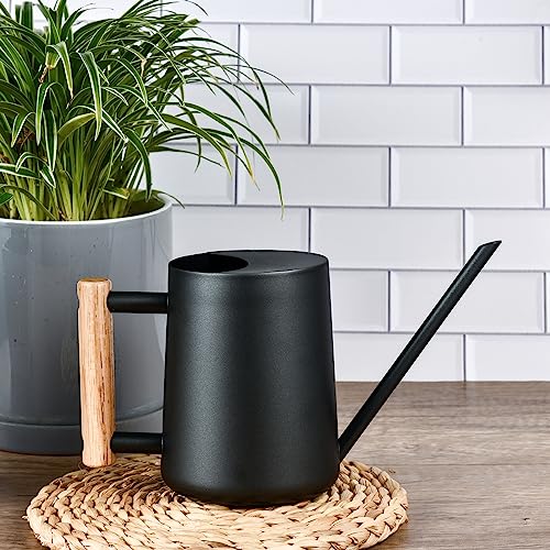 IMEEA Watering Can, 1000ml, Stainless Steel with Wooden Handle, Stylish Gardening Tool, Black