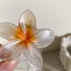 6cm Acryl Farbverlauf Frangipani Haarspange Damen Koreanisch Süß Haifischclip Haaraccessoires