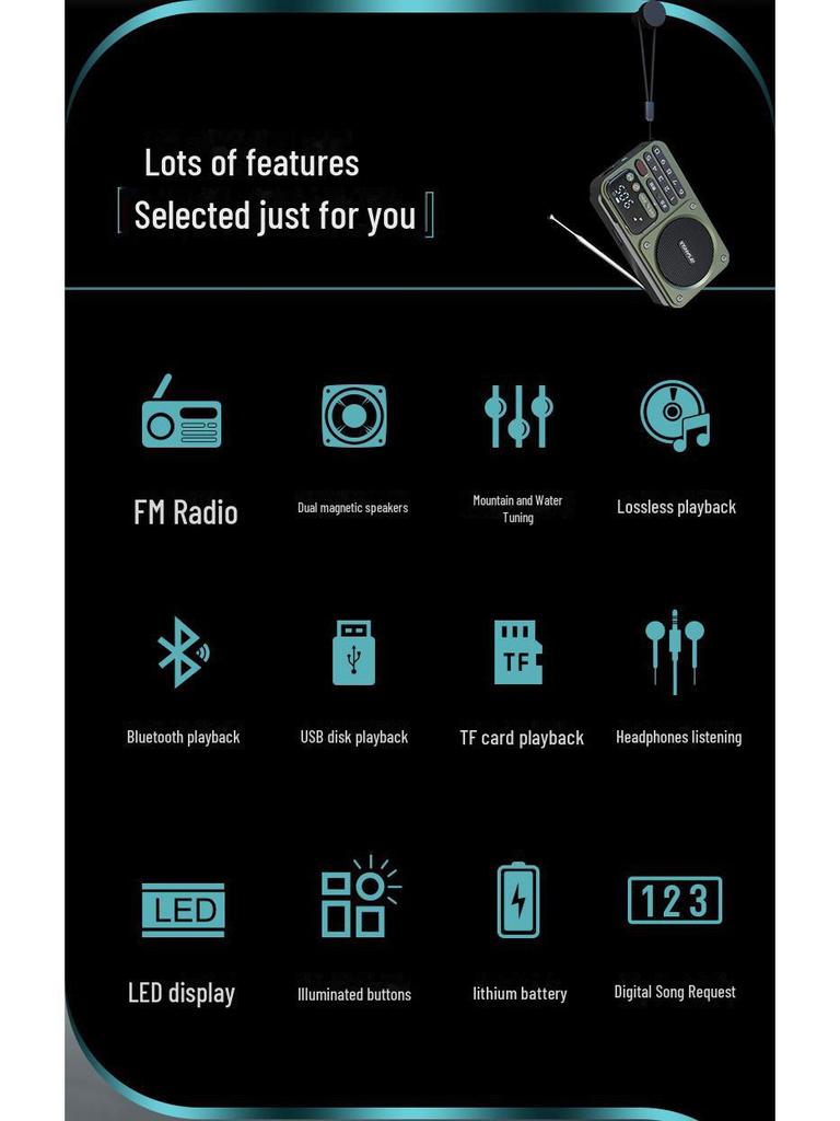 Sansui/Shanshui F22 bærbar Bluetooth-høyttaler med FM-radio og USB-opptak