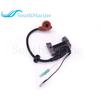 F4-04000038 Boat Motor Ignition Coil for Parsun HDX 4-Stroke F4 F5 BM Outboard Engine, Ignition Winding Assy,