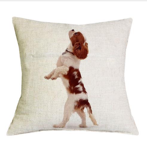 Cavalier King Charles Spaniel 45X45Cm Pillowcase Bedroom Sofa Home Decor