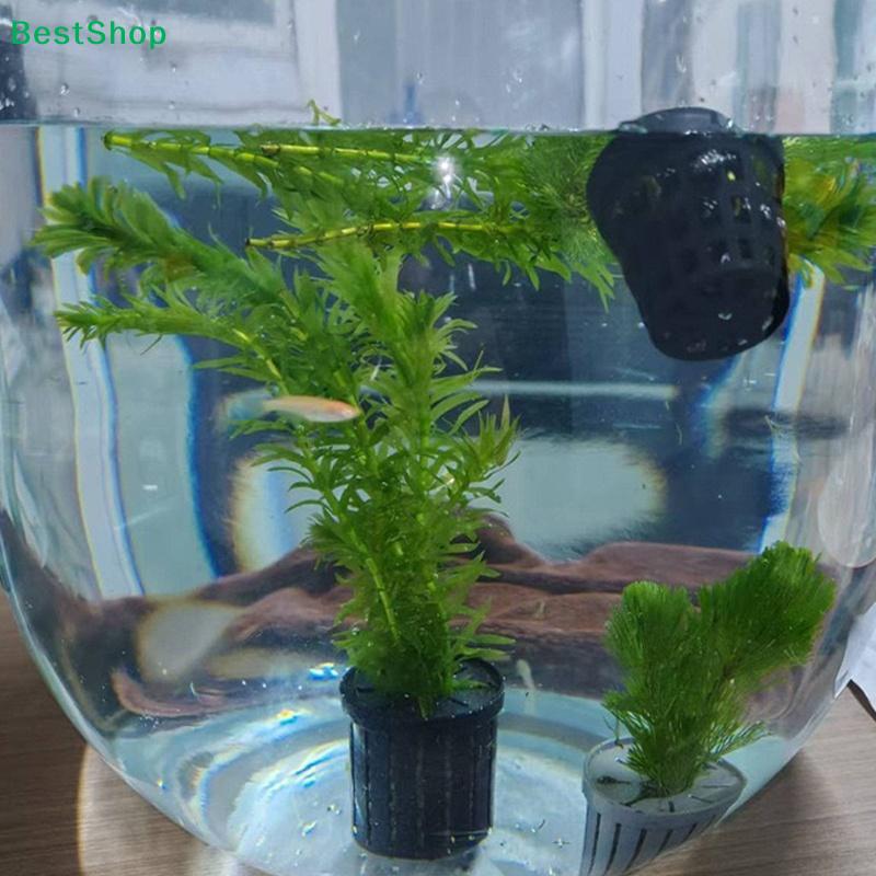 4*Pet Fish Tank Landscaping Basin Aquarium Planter Cups Stand Stable Fish Tank Net Cup Hydroponic Plant Storage Fixed Baskets
