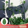 Self-Adhesive Invisible Clips for Wall-Mounting Green Vines and Ivy