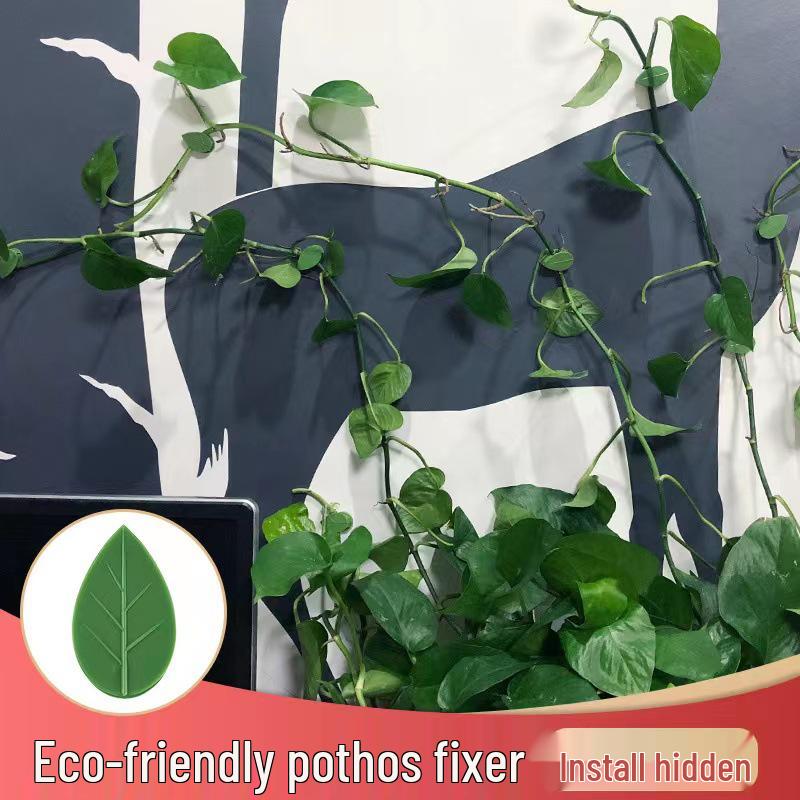 Self-Adhesive Invisible Clips for Wall-Mounting Green Vines and Ivy