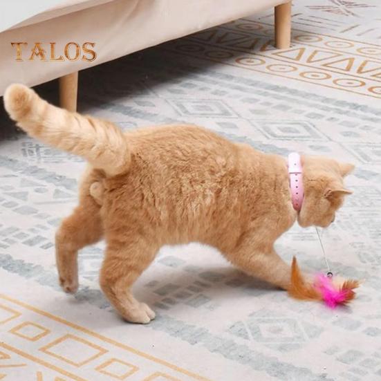 Interaktives Katzenhalsband-Spielzeug, Neckstab mit bunten Naturfedern und Glöckchen, verstellbares Design, selbstspielendes Spielzeug, Neckstab für Haustiere