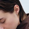 Another Layer Chestnut Earring (silver925)(2color)