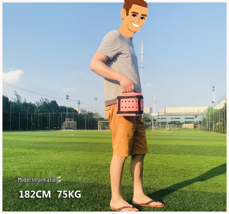 Pet Carrier: Portable Cat & Dog Transparent EVA Backpack Handbag, Foldable for Outings