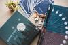 Lunar Trick Board Game Lunar Trick Trick Taking Shinka GAMES