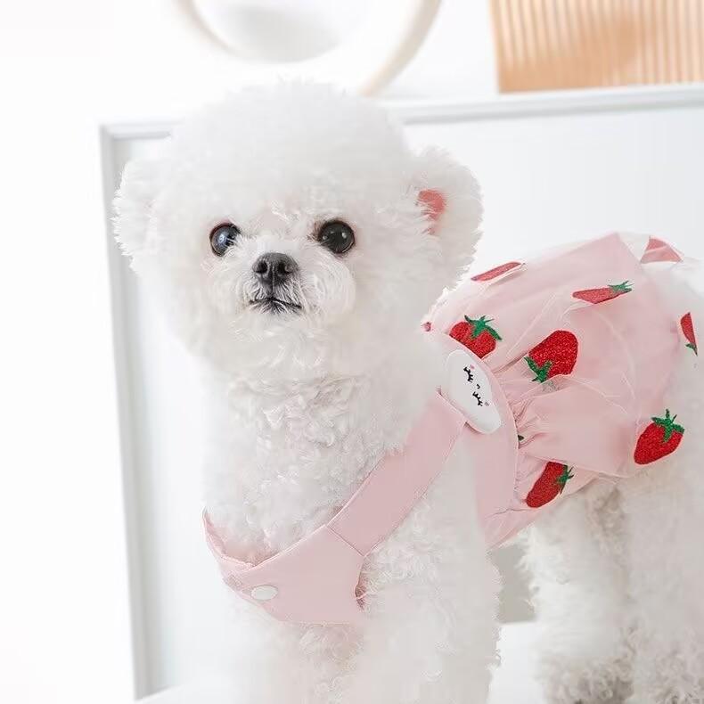 Teddy Dog Princess Summer Dress for Small Pets, Poodle, Bichon, Pomeranian, and Cats