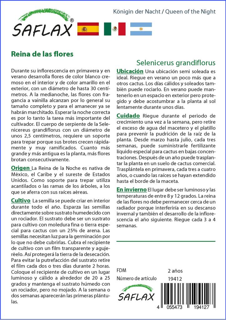 SAFLAX Queen of the Night - 40 Seeds - Selenicerus Grandiflorus