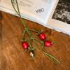 Bag Charm, Exquisite Tomato String Pendant Woman All-Match Cute Backpack Pendant Bag Accessories