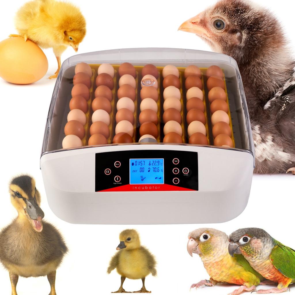 Kruger Meier Proeggora 56 Incubator with Auto Thermostat for 56 Eggs Agro Equipment