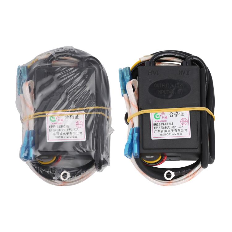 Accenditore Universale a 2 Fili per Bruciatore a Gas da 1.5V Controllo Temperatura Parti di Ricambio per Fornelli a Gas Domestici Accensione Singola Impulso Elettrico