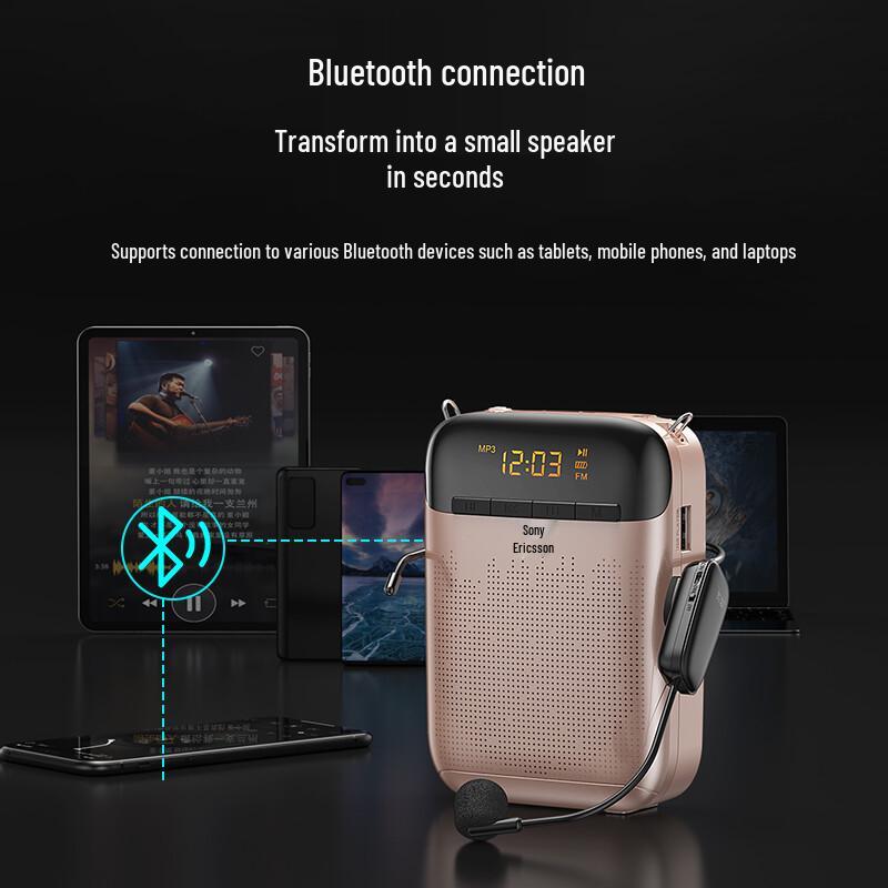 Soaiy S988 Portable Wireless UHF Amplifier Microphone