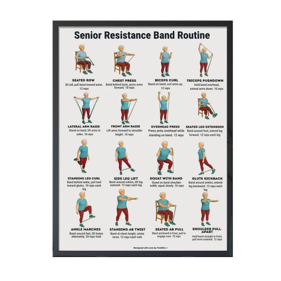 Chair Exercise Poster Seated Workout Chart Gentle Chair Yoga Movements Low Impact Exercise Guide for Seniors Beginners