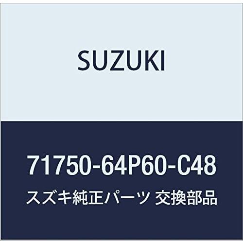 SUZUKI Genuine Parts Skirt Part Number 71750-64P60-C48
