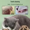 Catnip & Polygonum Teething Ball Toy for Kittens