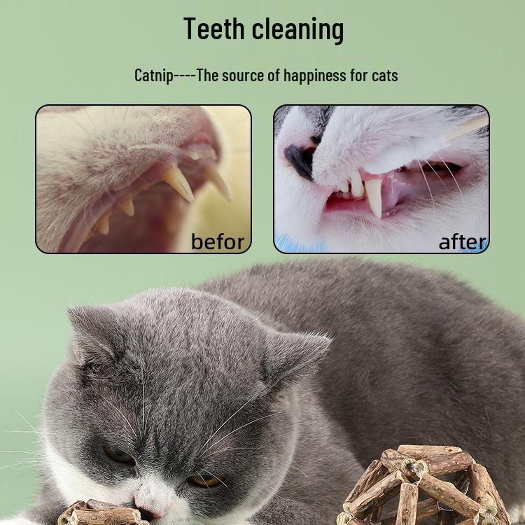 Catnip & Polygonum Teething Ball Toy for Kittens