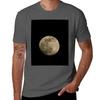 Full Moon At Night Tshirt Minimalist Casual Short Sleeve Top
