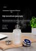 Women's Double-Walled Borosilicate Glass Tea Infuser Cup - Stylish, Compact for Office