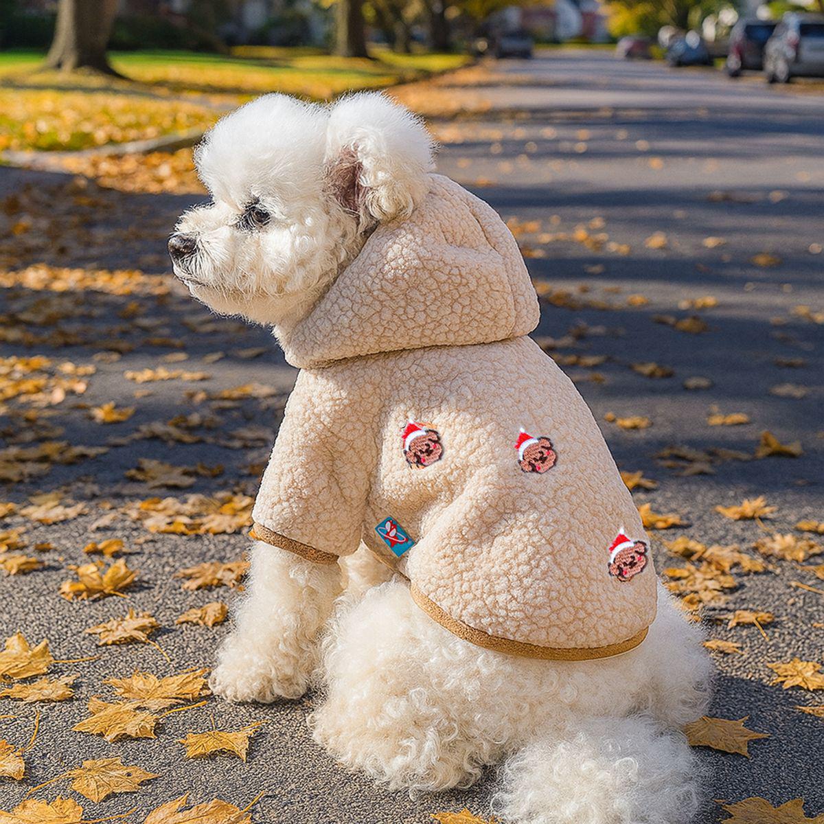 

Pet Dog Two-Legged Lambswool Bear Hoodie - Autumn/Winter Warm Jacket XL - Approx. 14-18 catties