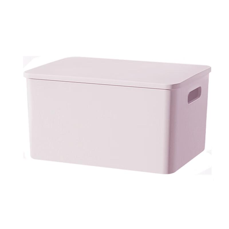 SPACEXPERT Plastic Storage Box with Lid