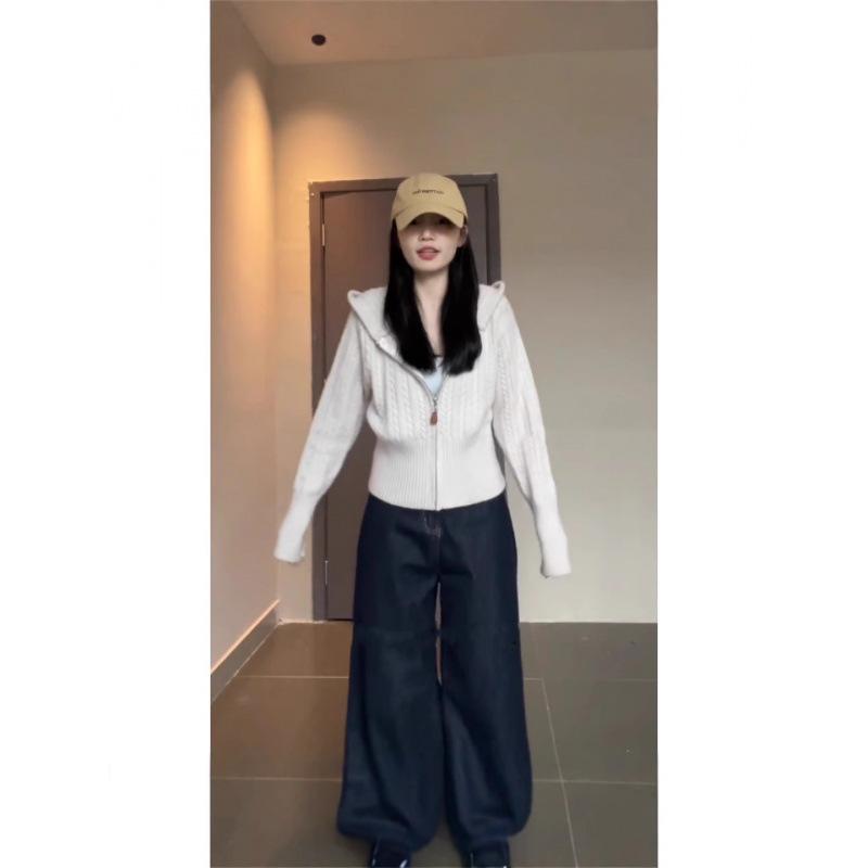 Women's Knit Hooded Cardigan: Autumn/Winter Korean Style Zipper Sweater, Wool Short Coat with Waist-Cinching Design