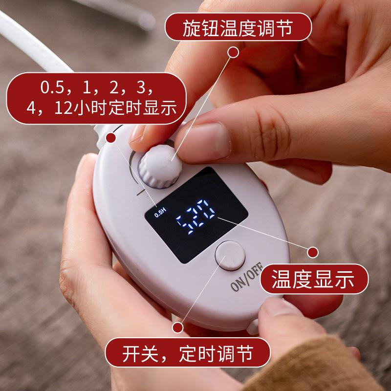 Electric Resin Burner with Timing Ceramic Incense Burner Frankincense Bakhoor Censer 110 V for Home Meditation Room