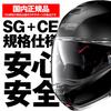 NOLAN Motorcycle Helmet System XL Size Solid 19865 [] (61-62cm) N100-5 (Flat Black/10)