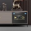 Tiger Brand Smart Home Office Safe