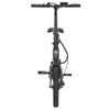 DYU A16 Electric Bike, 250W Motor, 36V 10Ah Battery, 16-inch Tire, 25km/h Max Speed, 55km Range, Dual Disc Brakes - Black