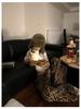 Korean INS Style Women's Soft Tiger Stripe Sweatpants - Cozy Winter Wear for Indoors & Outdoors