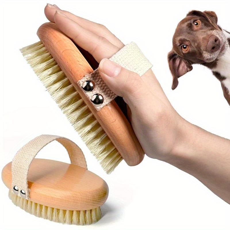

One Professional Grooming Brush for Short-Haired Dogs - Minimizes Shedding, Features a Non-Slip Handle, And Provides Gentle Grooming