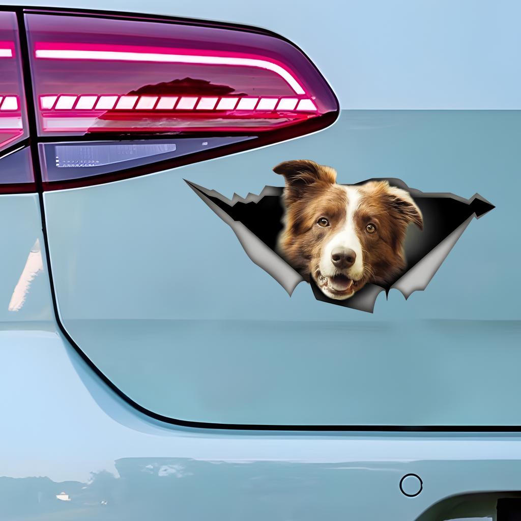 Brown and White Border Collie Car Stickers, Waterproof Pvc Animal Decals With 3D Effect, Block Scratches and Increase Fun Auto Parts