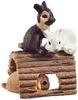 Decoración para el hogar
 – Terrarios decorativos