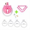 Pink Bow Chastity Cages Sissy Gay Two-tone Craft Chastity Locks Male Locks Pseudo Sissy Chastity Device Escape-proof Cheat-proof