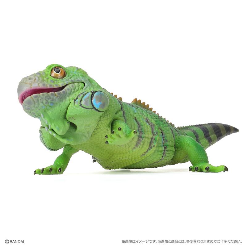Genuine Popularity Gacha Biological Atlas Common Ameiva Correlophus Ciliatus Joint Movable Action Figure Model Toys