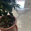 Plant Watering Globe Watering Plant Inserter Plant Watering Globe Water Bulb Dripper for Indoor Outdoor Flowers