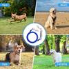 Heavy-Duty Double Head Pet Wire Rope with Spring Long Leash Traction Rope Dog Tie Out Cable  Pet