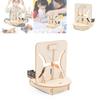 Science Experiment Diy Double Curve Model Educational Wooden Toy For Elementary Students